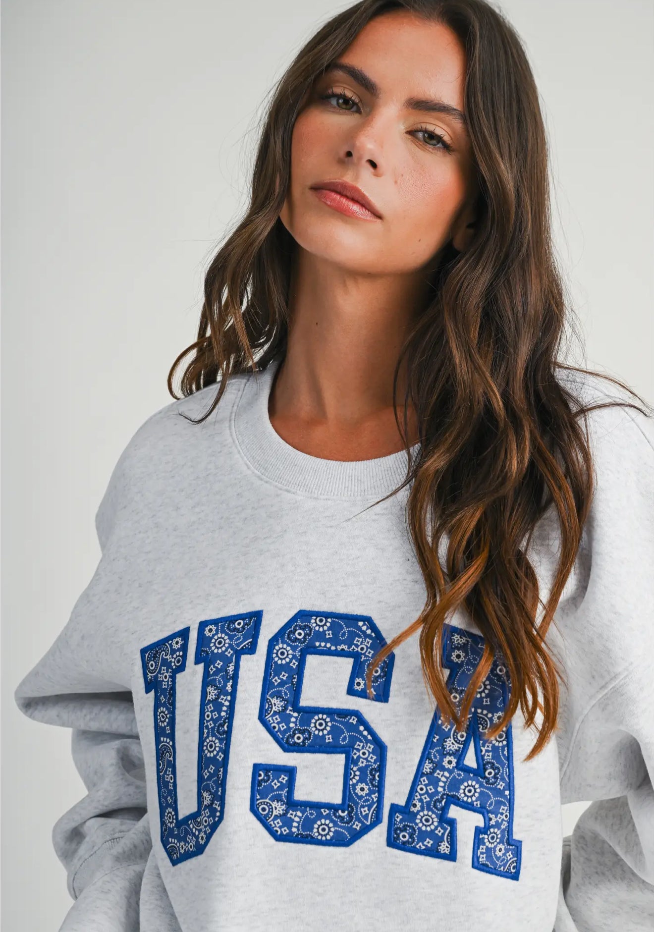 USA Embroidered Sweatshirt